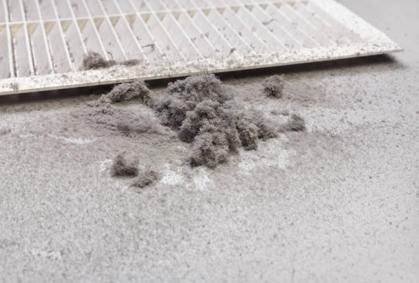 Best HVAC System Cleaning  in Olyphant, PA